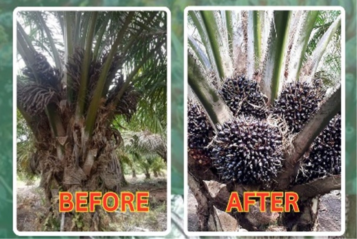 Gambar Section 9 2